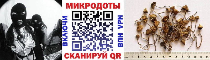Псилоцибиновые грибы прущие грибы  Кондопога 